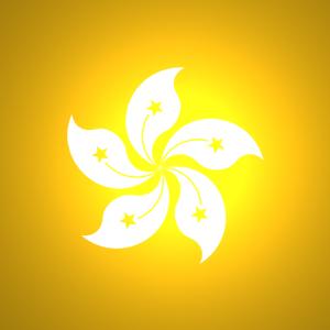 国内到香港物流,大陆至香港货运,广州物流到香港